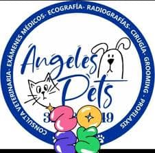 Centro Veterinario Angeles Pets