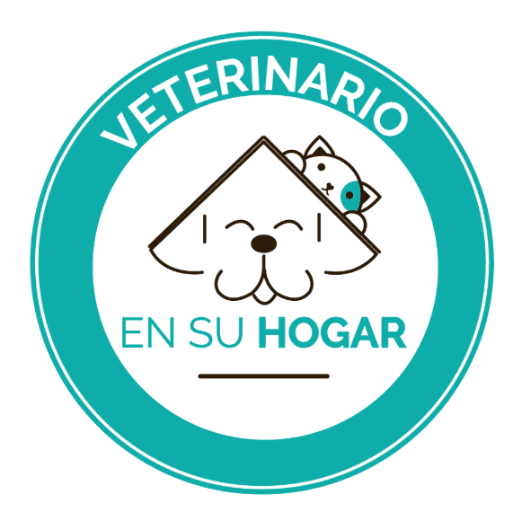 Veterinario en su Hogar