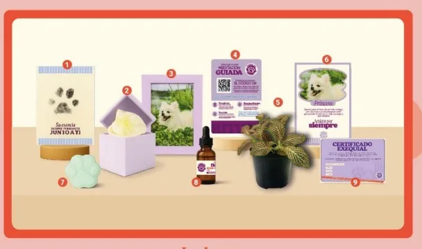Entregables del plan Memoria para mascotas.